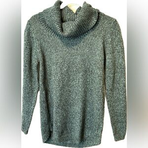 AB Studio Women's Green Tunic Cowl Neck Sweater